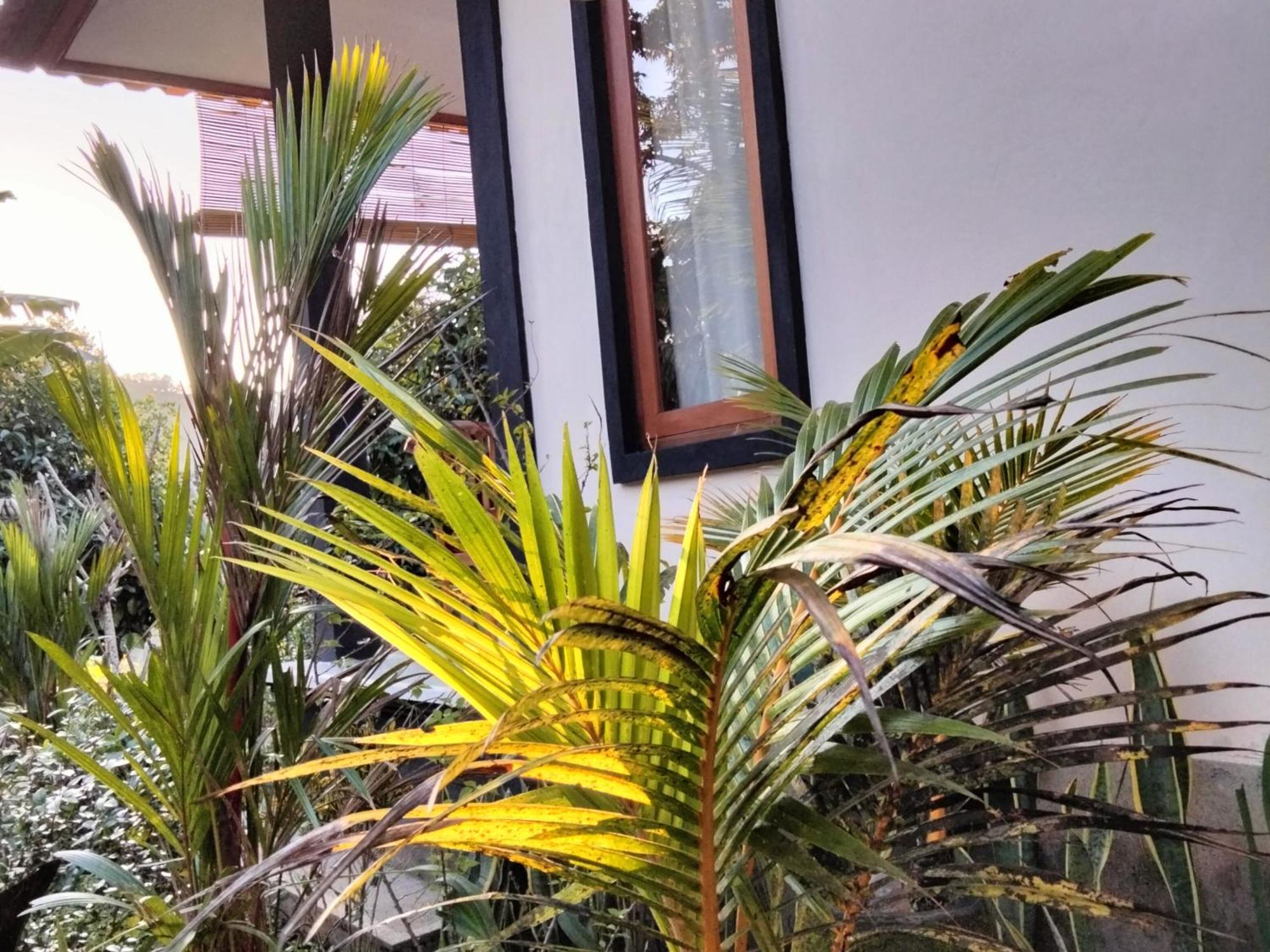 Buntera Homestay Sidemen Sidemen  Exterior photo