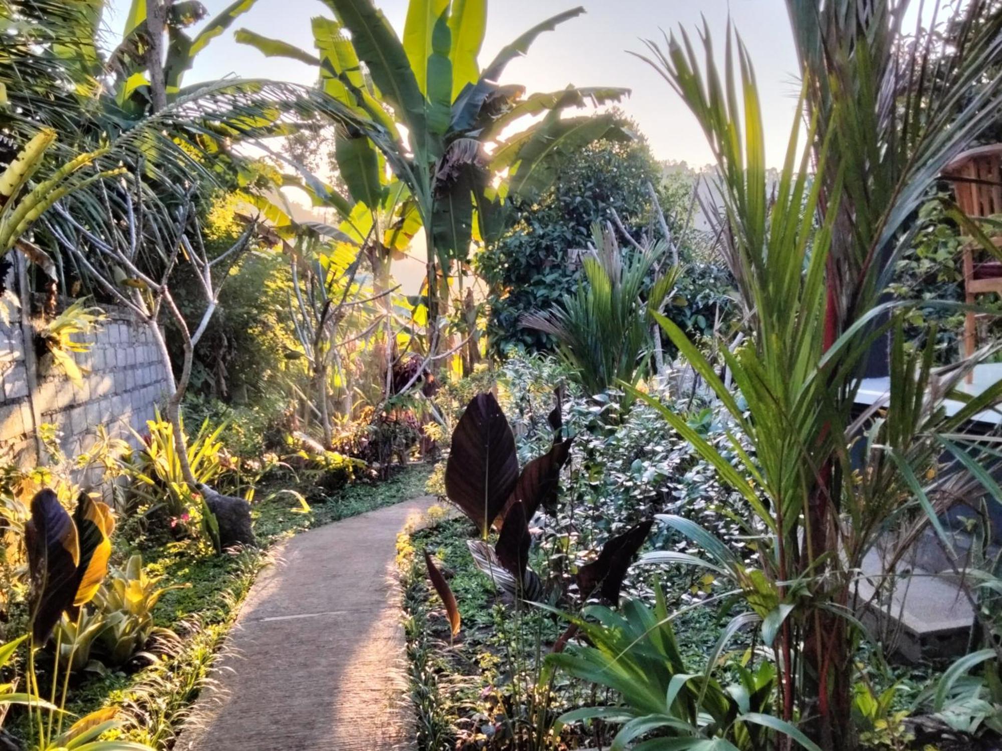 Buntera Homestay Sidemen Sidemen  Exterior photo