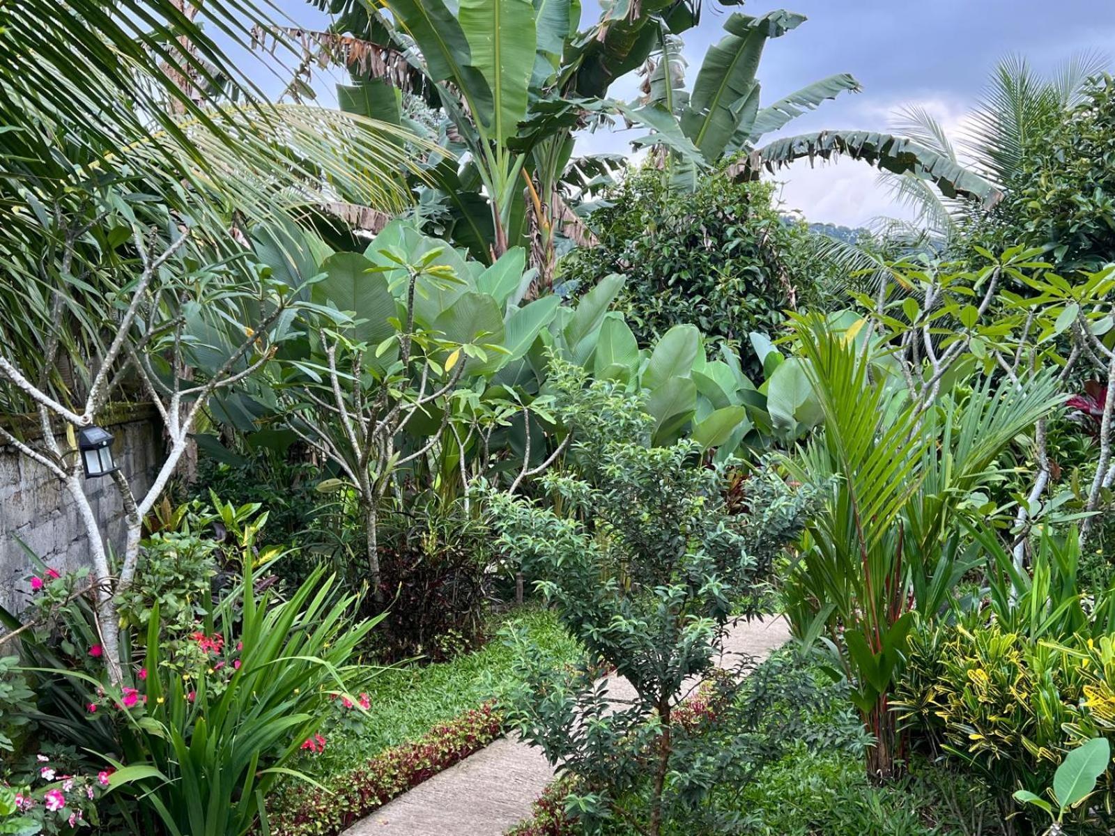 Buntera Homestay Sidemen Sidemen  Exterior photo